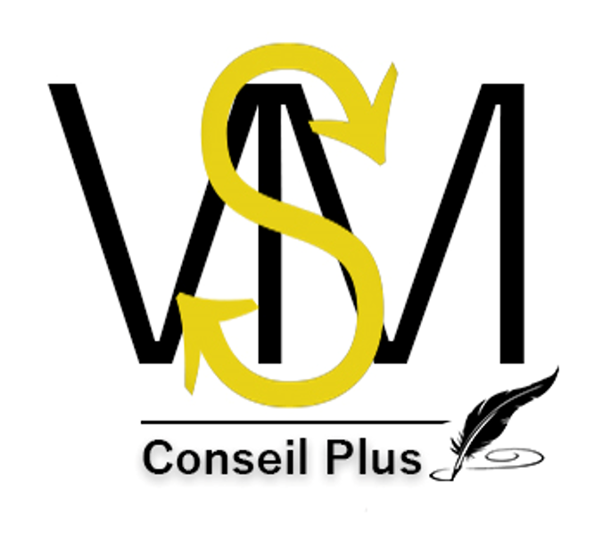 vsmconseilplus